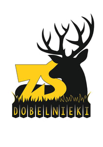 Logo - ZS Dobelnieki